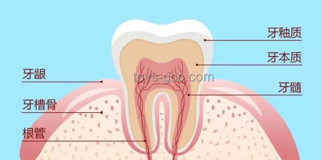 韦神牙周炎治疗深度分析：口腔健康维护的重要性